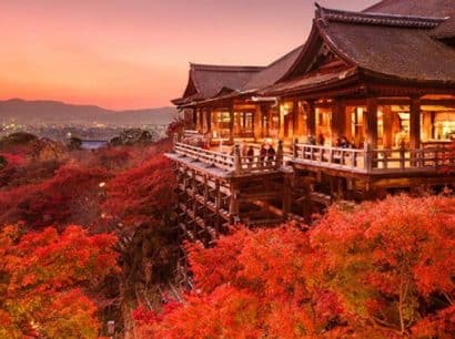TOKYO – NÚI PHÚ SỸ – KYOTO – OSAKA