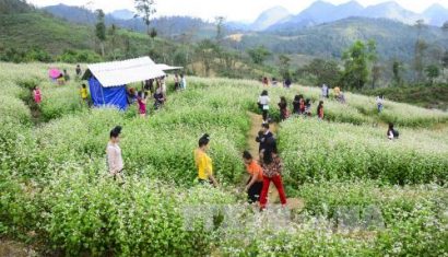 Các tour ngắn ngày 'lên ngôi' dịp Tết dương lịch 2018