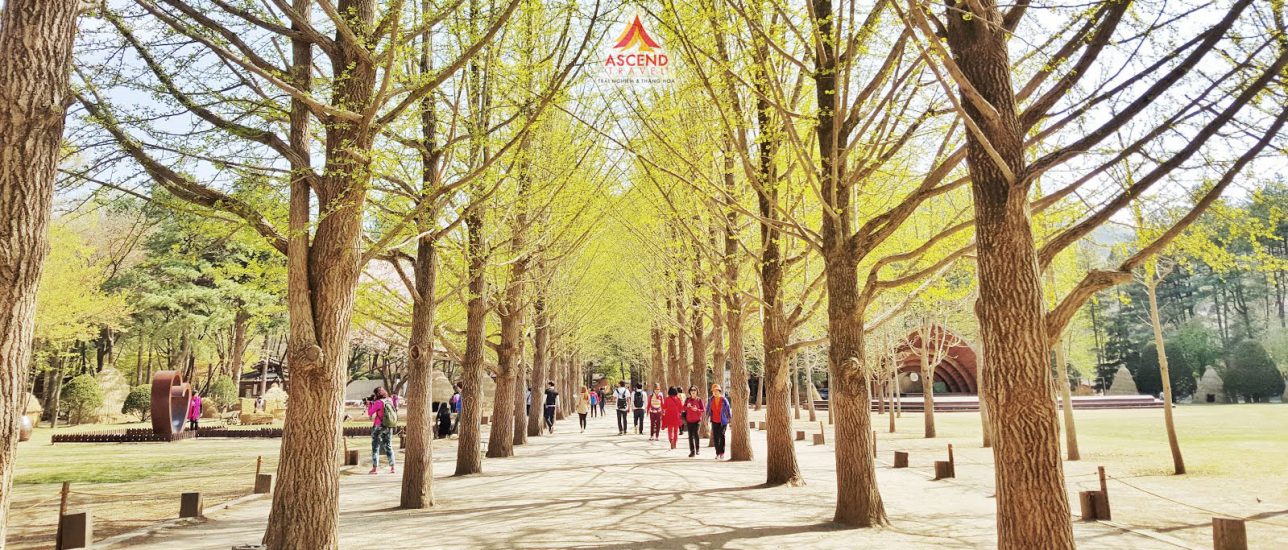 Seoul - Nami - Everland - Hàn Quốc