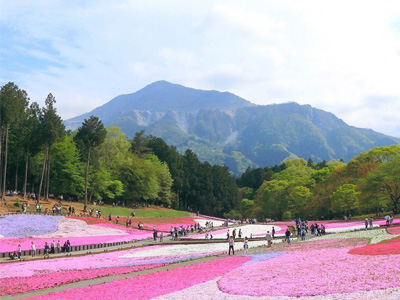 Du lịch Nhật Bản TOKYO – HAKONE – FUJI.MT