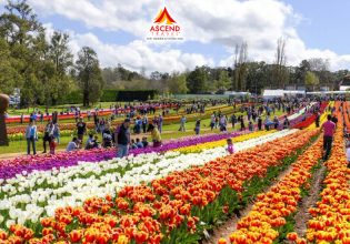 NGÀY 3: SYDNEY– FEATHERDALE PARK - SHOPPING     