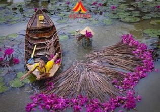 NGÀY 1: HÀ NỘI - CẦN THƠ  - ĐỒNG THÁP