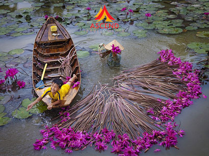 Du lịch Cần Thơ Đồng Tháp
